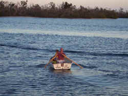 photo_1.jpg (56727 bytes)