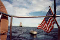 gallery_11.jpg (112511 bytes)