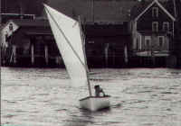 gallery_4.jpg (90832 bytes)